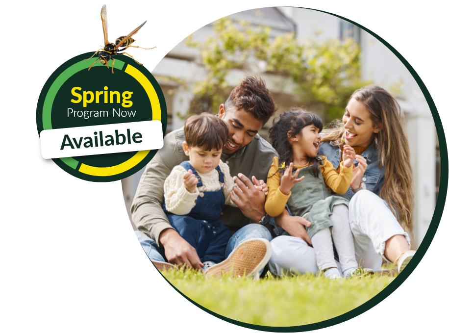 Image spring program